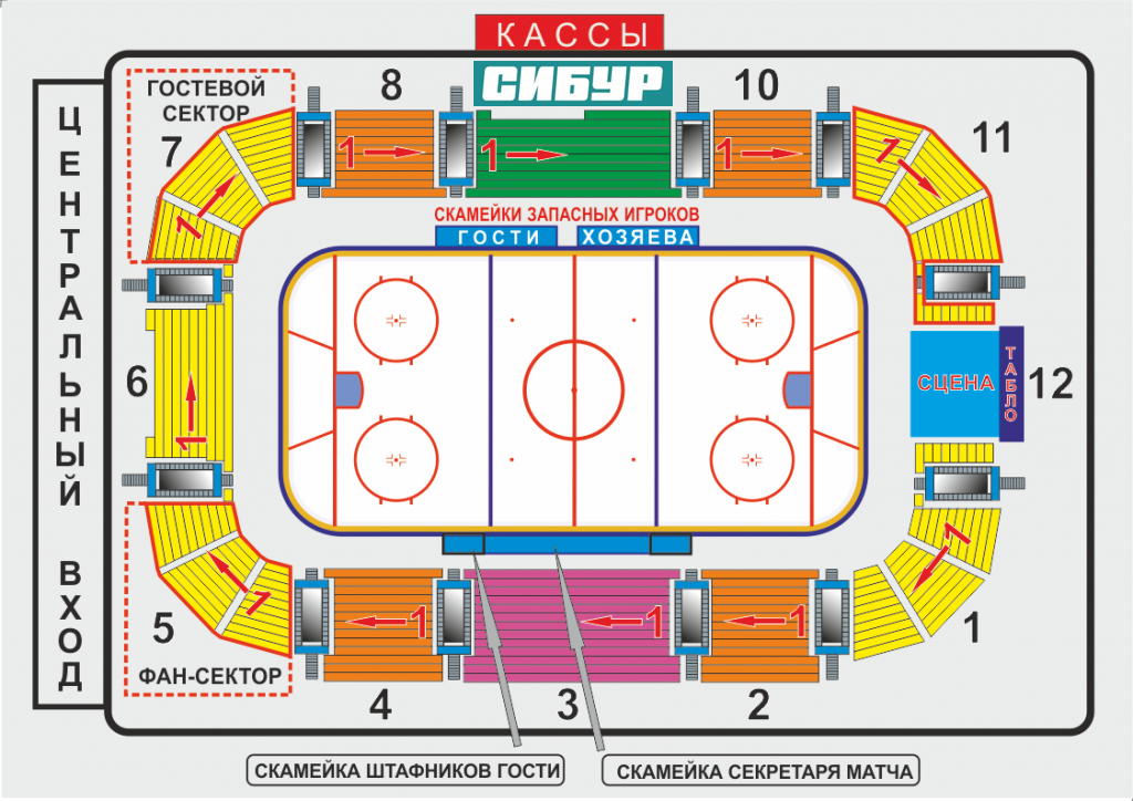 Дворец спорта билеты. Арена Химик Воскресенск. Ледовая Арена Химик Воскресенск. Химик Воскресенск сектора. Гостевой сектор.